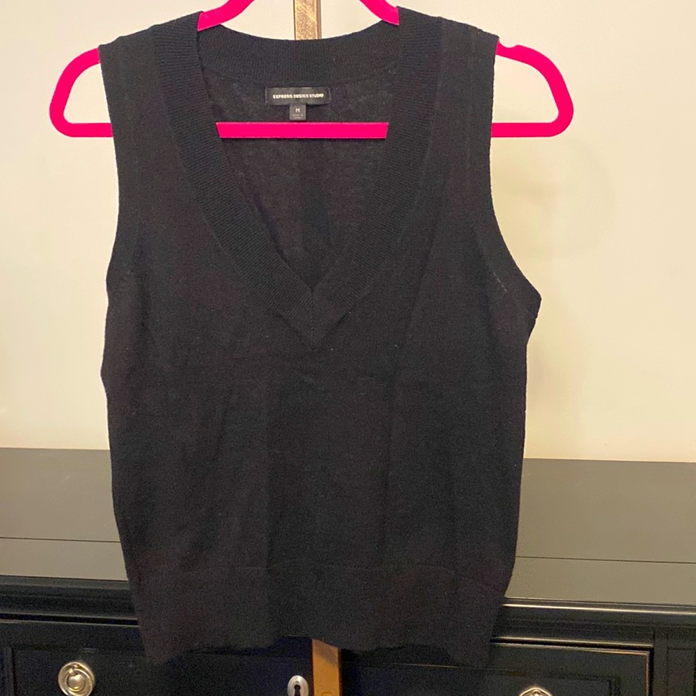 Express V-Neck Sleeveless Sweater